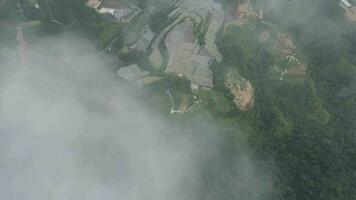 Aerial view of the vegetable farm showcasing a colorful patchwork of different types of crops at Cameron Highlands video