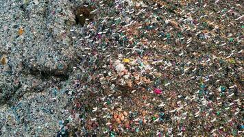 Aerial view thousand of egret birds fly around garbage dump site video