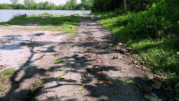 Slow move over the small path with pollution of plastic video