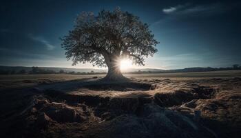 silueta de árbol espalda iluminado por puesta de sol generado por ai foto