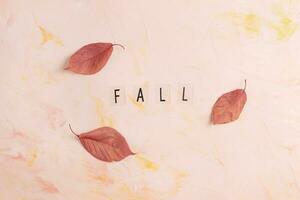 Word FALL and red fall leaves on pink background Autumn mood, copy space photo