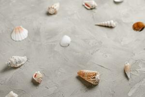 Sea shells pattern on gray background. Abstract sea vacation background. Top view photo