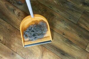 A handful of garbage with hair collected in a dustpan while cleaning the house. photo