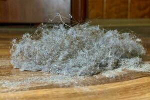 Close-up of small debris with grains of sand and hair, a source of allergic diseases. photo