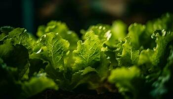 Fresco verde hoja vegetal ensalada para sano comiendo generado por ai foto