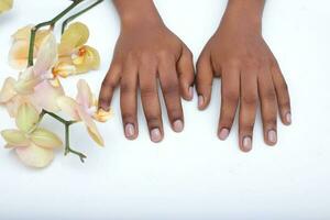 African American woman hands  black skin manicure on white background photo