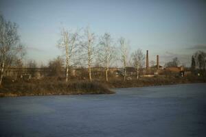 View of lake. Landscape with plant. Ice on lake. photo