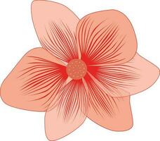 Beautiful frangipani plumeria flower. vector