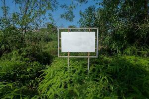 enfoque selectivo en señales de tráfico blancas realistas en dos postes metálicos. signo vacío de carretera de tráfico en blanco rectangular. maqueta de plantilla para su diseño. foto