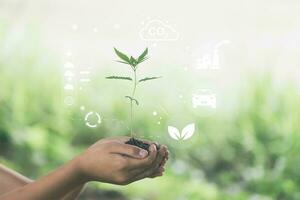 Hand holding seedlings with environment icons over the Network connection on nature background, Technology ecology concept. photo