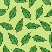 Seamless Background of leaves on green background vector