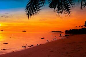 Beautiful sunset tropical beach with palm tree and pink sky for travel and vacation photo