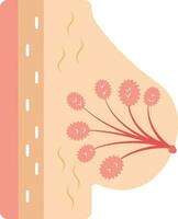 Female Chest Breast Anatomy And Physiology Structure Detailed Colorful  Diagram On A White Background Royalty Free SVG, Cliparts, Vectors, and  Stock Illustration. Image 108860857.