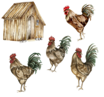 Watercolor wooden farmhouse and cock. Hand drawn illustration of a farm. png