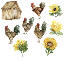 Watercolor wooden farmhouse. sunflowers and cock. Hand drawn illustration of a farm. png