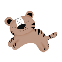 tiger dag, tiger familj, tiger älskare, internationell tiger dag, tiger png