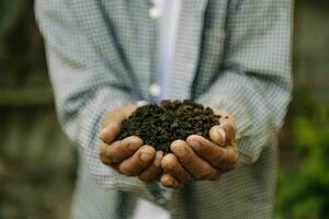 Hands of the gardeners are grabbing the soil to plant photo