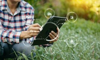 Woman hands gardening lettuce in farm  with growth process and chemical formula on green background. With VR icon photo