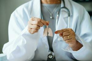 Female doctor holding Lungs in hand on right side.Healthcare hospital service concept stock photo