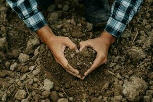 Oldman farmer holding soil in cupped hands photo