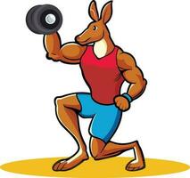 Kangaroo personal trainer lifting weights cartoon vector illustration, Kangaroo bodybuilder vector image