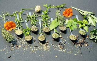 fresh and dried herbs and spices from all over the world photo