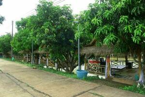 tropical bambú restaurante en el parque con verde arboles y plantas. foto