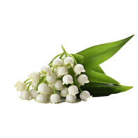 Lily of the Valley flower isolated on background with Generative AI png