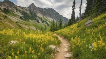 sendero líder sobre montañas con floración prados generativo ai. foto