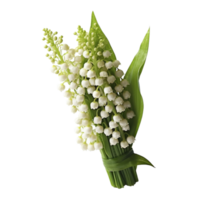 Lily of the Valley flower isolated on background with Generative AI png