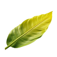 Banana Leaf isolated on background with Generative AI png