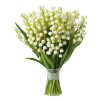 Lily of the Valley flower isolated on background with Generative AI png