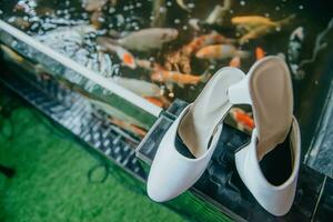 A pair of bridal shoes in front of a fish pond photo