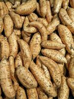 Selective view of sweet potato with the scientific name Ipomoea Batatas, in Indonesian as Ubi Cilembu. Sweet potatoes that are fresh from the harvest are sold in supermarkets photo