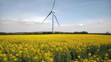 Wind turbine in a yellow flower field, Alternative energy. . photo