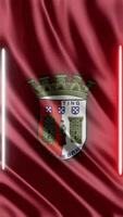 Waving Sporting Braga FC Flag Phone background or social media sharing Free Video
