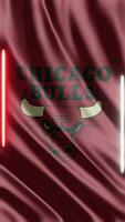 Waving Chicago Bulls Flag Phone background or social media sharing Free Video
