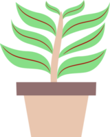 illustration of a plant in a pot. plants with colored leaves. free png