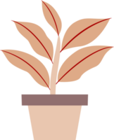 illustration of a plant in a pot. plants with colored leaves. free png