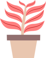 illustration of a plant in a pot. plants with colored leaves. free png