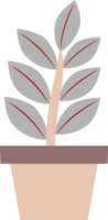 illustration of a plant in a pot. plants with colored leaves. free png