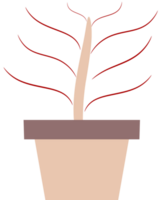 illustration of a plant in a pot. plants with colored leaves. free png