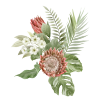 Hand gezeichnet tropisch Blumen- Aufkleber Sammlung png