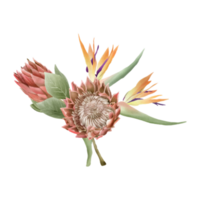 Hand gezeichnet tropisch Blumen- Aufkleber Sammlung png
