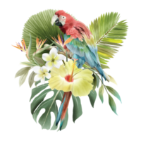 mano disegnato tropicale floreale etichetta collezione png
