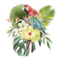 hand drawn tropical floral sticker collection png