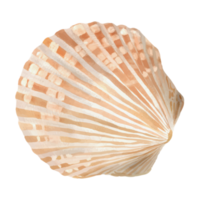 mare vita acquerello etichetta collezione png