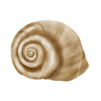 mare vita acquerello etichetta collezione png