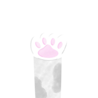 Cat foot Cutie png