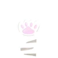 gato pie chica png